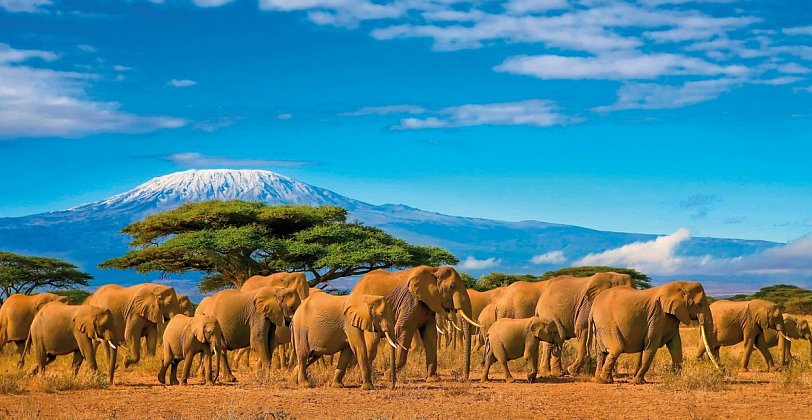 Tansania & Kenia Rundreise und Baden