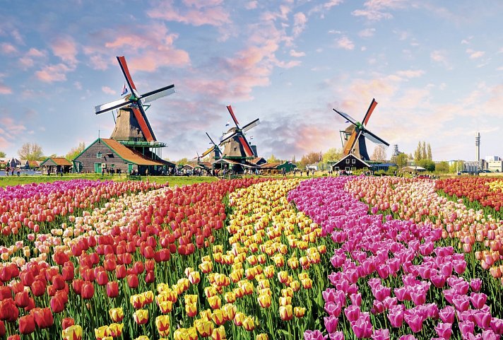 Flusskreuzfahrt Holland Tulpenblüte