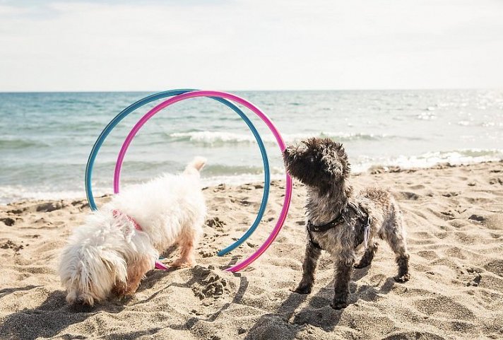 Gitavillage Le Marze