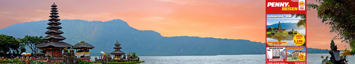 PENNY Reiseprospekt Februar 