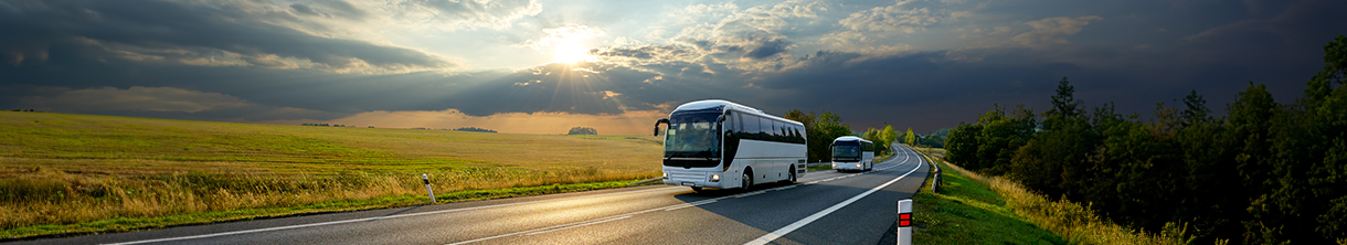 Busreisen PENNY Reisen 