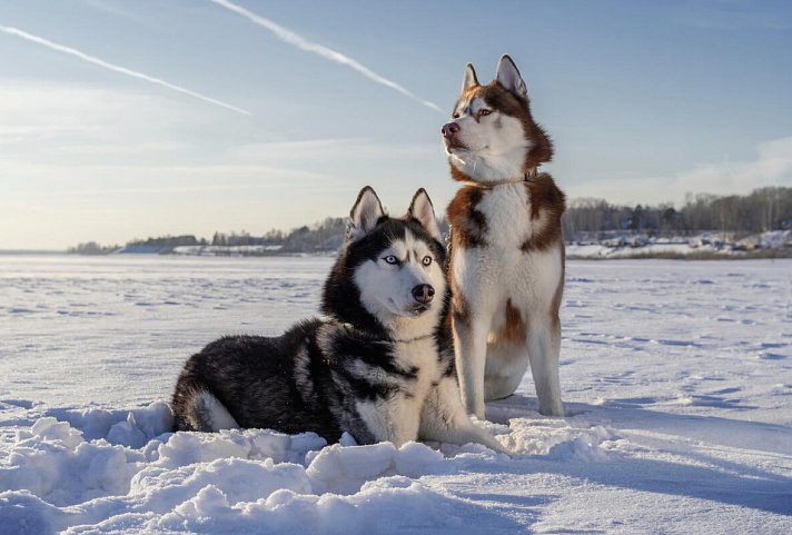 Norwegen / Alta - Die Stadt der Nordlichter