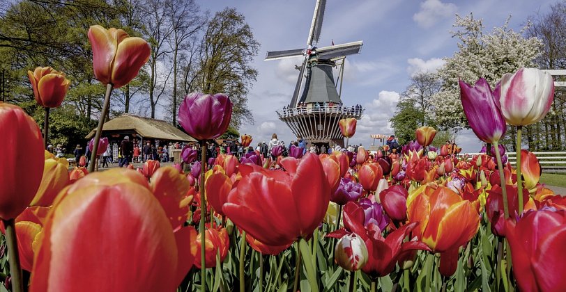 Keukenhof & Hotel Het Wapen van Harmelen