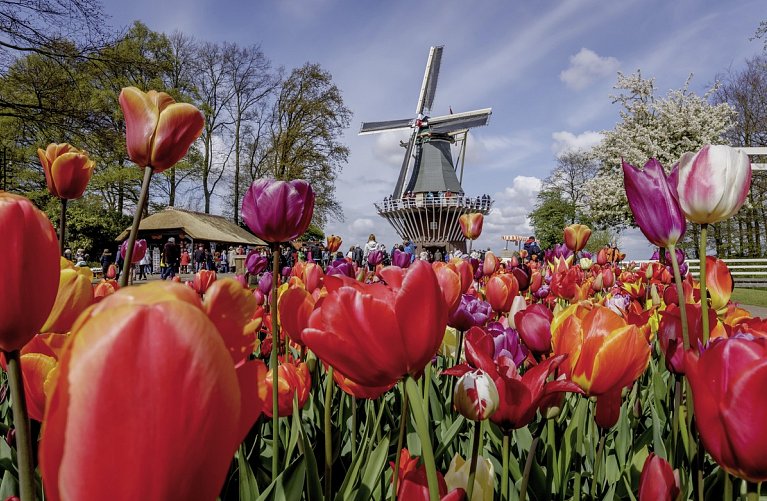 Keukenhof & Hotel Het Wapen van Harmelen