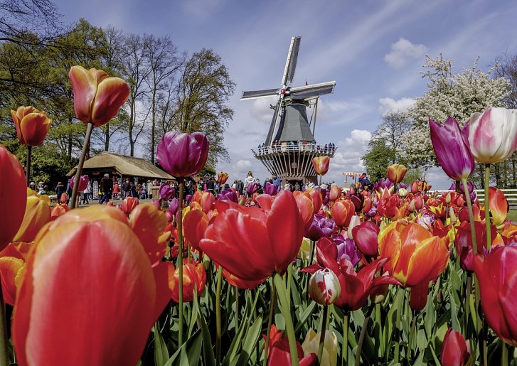 Keukenhof & Hotel Het Wapen van Harmelen