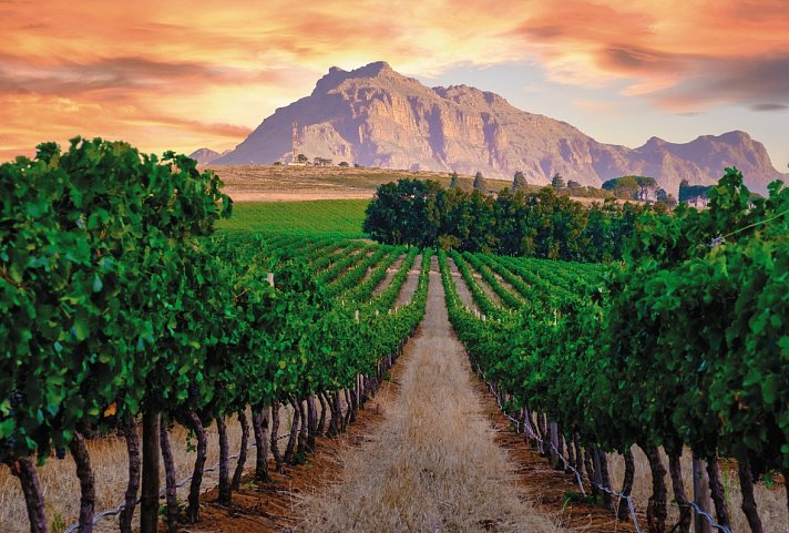 Südafrika Rundreise - Weinregion, Stellenbosch