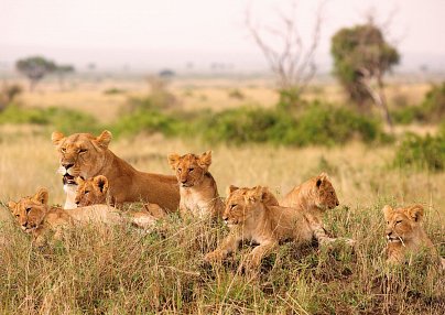 Große Afrika Rundreise