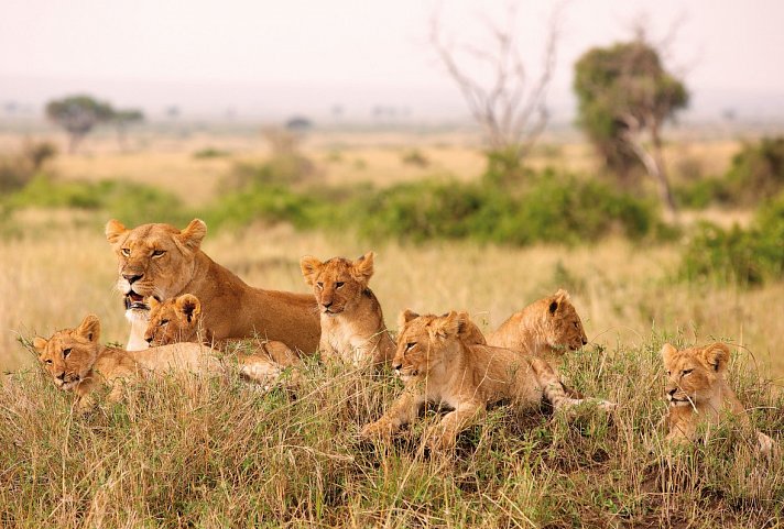 Große Afrika Rundreise