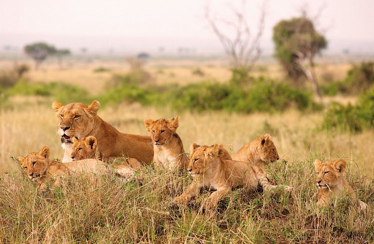 Große Afrika Rundreise
