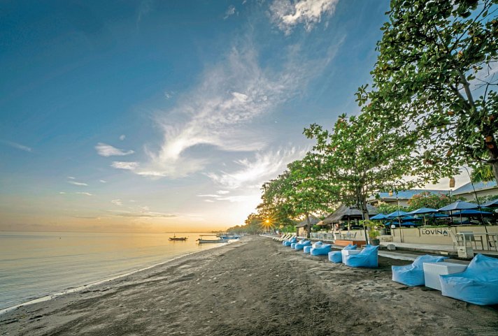 The Lovina Bali