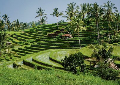 Mövenpick Resort & Spa Jimbaran Bali