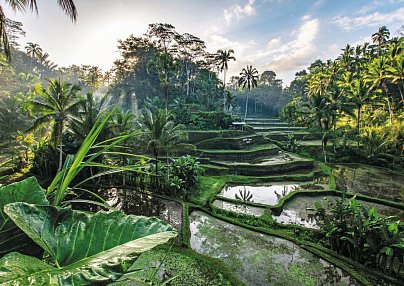 Bali Rundreise & Baden Denpasar