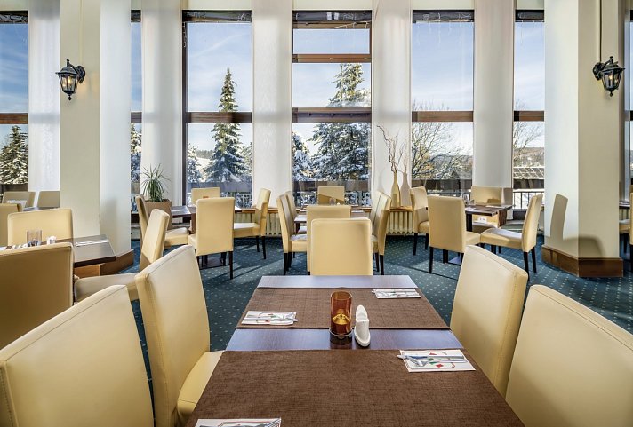 AHORN Waldhotel Altenberg