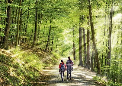 Ferien Residenz Thüringer Wald Masserberg
