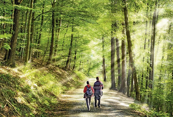 Ferien Residenz Thüringer Wald