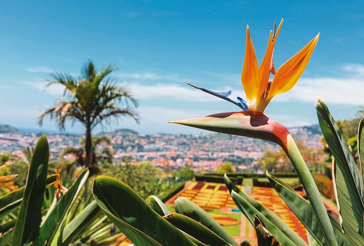 Hotel Rocamar
