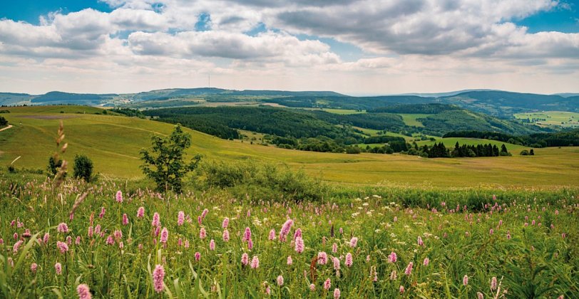Hotel Gersfelder Hof