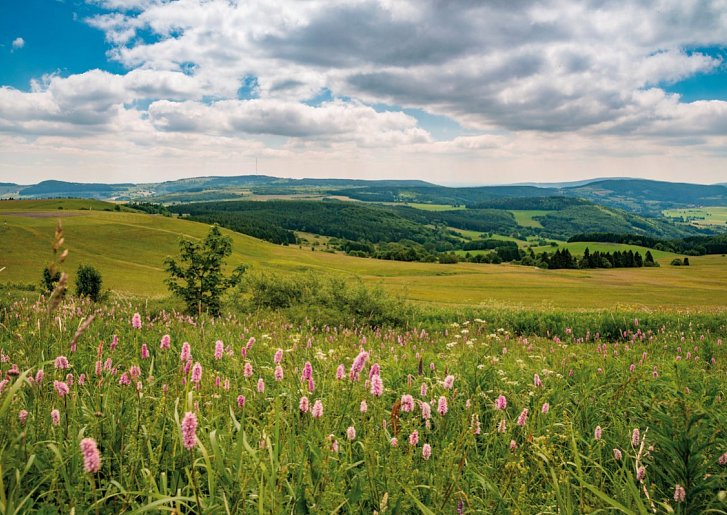 Hotel Gersfelder Hof