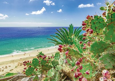 Esencia de Fuerteventura by Princess Hotels