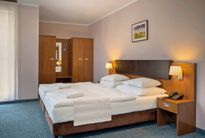 Maximus Spa - Wohnbeispiel Doppelzimmer (Zimmercodierungen DP1, DB1, DB2, DB3 & DC1)