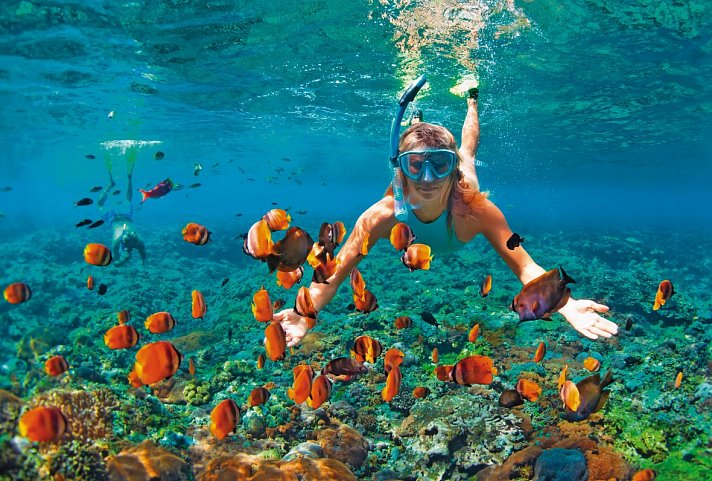 Calimera Blend Paradise 