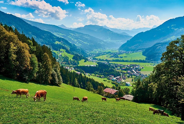 Gasthof zum Löwen