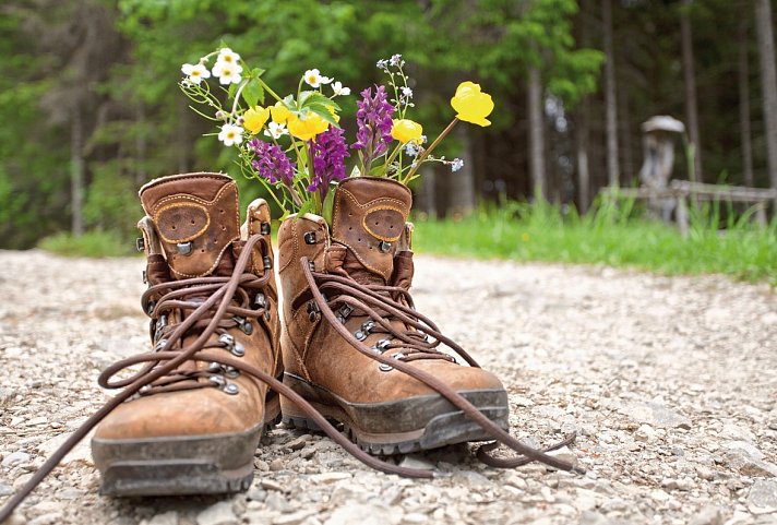 Wanderreise – Zillertaler Alpen