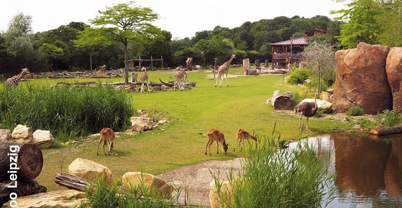 Zoo Leipzig & Légerè Express Leipzig