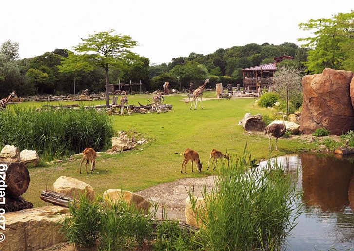 Zoo Leipzig & Légerè Express Leipzig