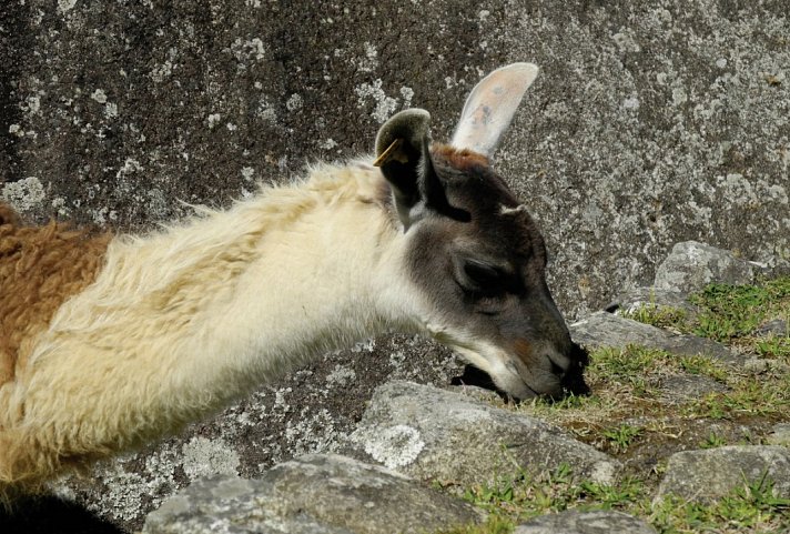 Peru Rundreise