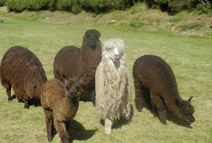 Peru Rundreise