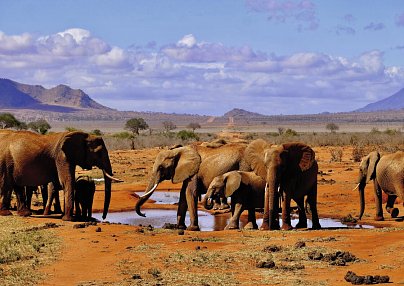 AHG Lion Beach Resort