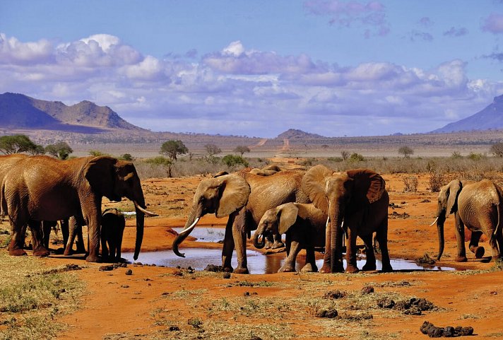 AHG Lion Beach Resort - Tsavo Ost Nationalpark