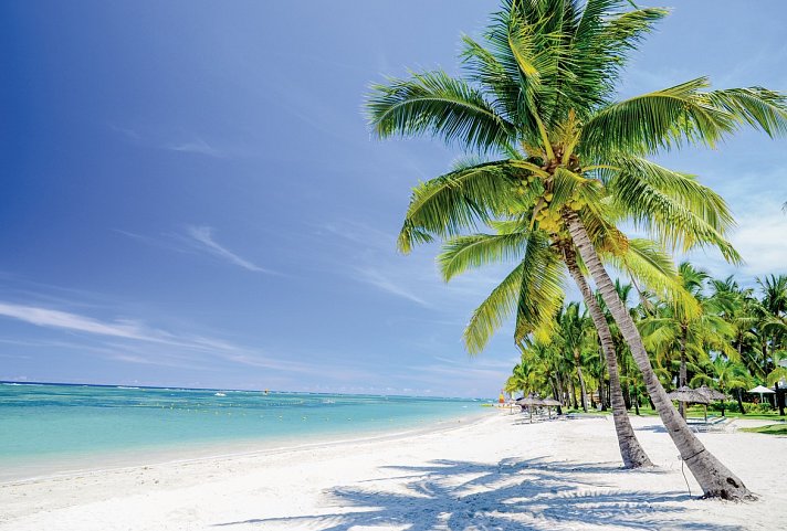 Hotel Le Palmiste Resort & Spa
