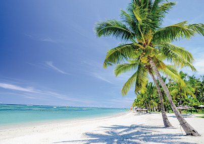 Hotel Le Palmiste Resort & Spa