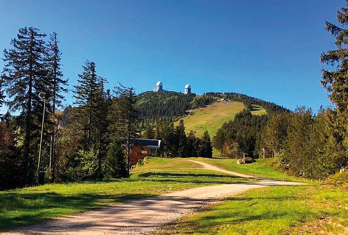 Das Waldkönig