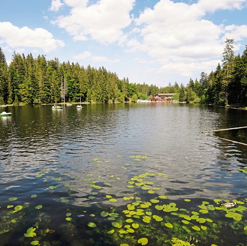 Landhotel Christopherhof - Großer Arbersee