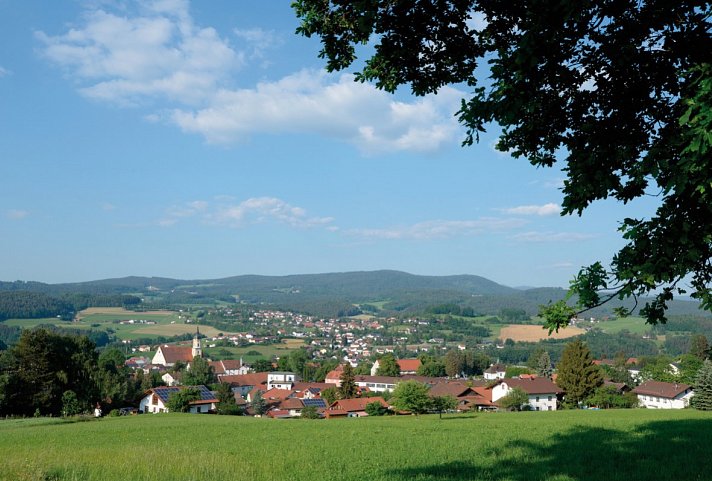 Hotel Am Pfahl - Viechtach