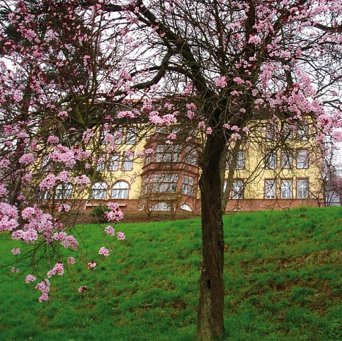 Hotel Franziskushöhe