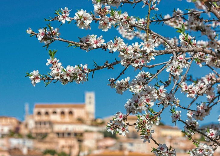 Mallorca Rundreise - Hotel Alua Leo