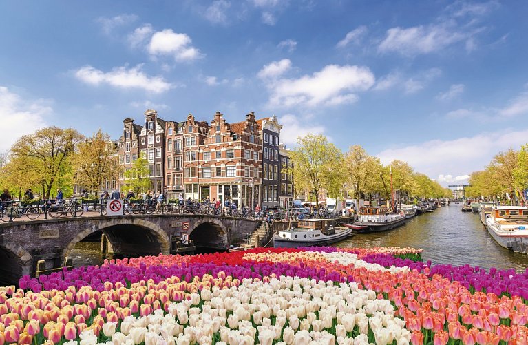 Flusskreuzfahrt Holland Tulpenblüte