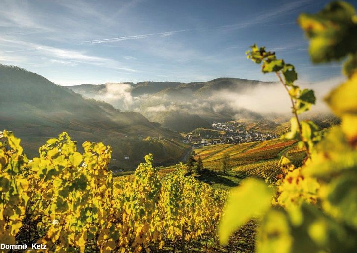 Hotel Alex an der Ahr