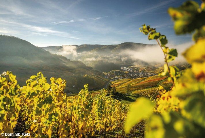 Hotel Alex an der Ahr - Ahrtal im Herbst