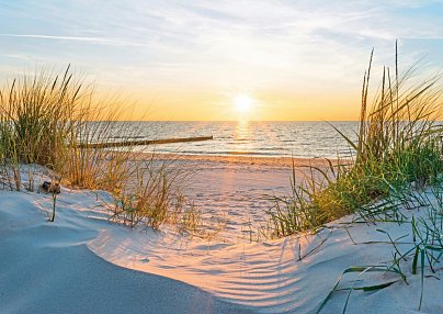 Precise Resort Rügen Sagard