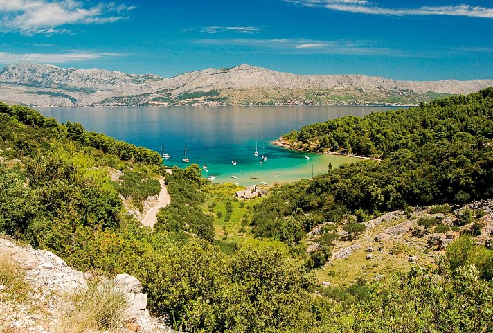 Hotel Waterman Kaktus