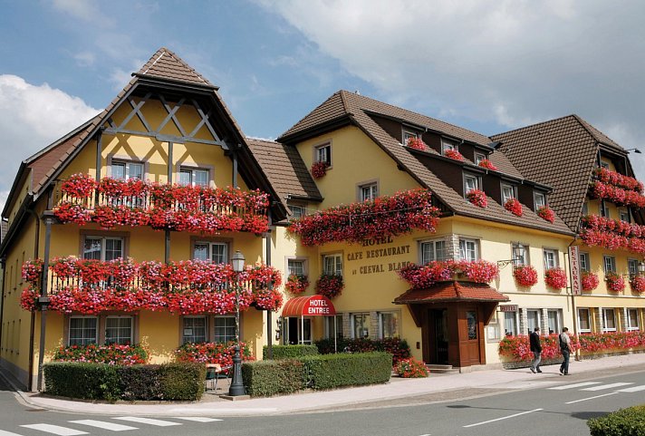 Best Western Plus Au Cheval Blanc Mulhouse