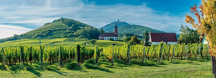 Best Western Plus Au Cheval Blanc Mulhouse