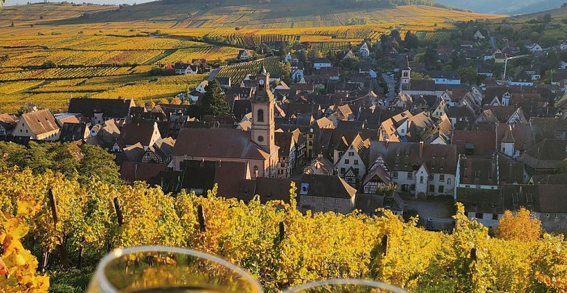 Hotel A la Vignette - Frankreich / Grand Est (Alsace/Lorraine/Champagne-Ard / Saint-Hippolyte