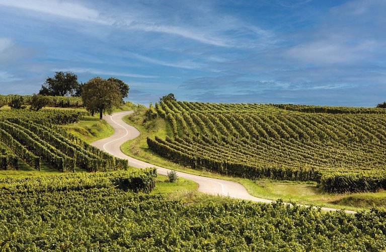 Hôtel du Parc Wellness & Beauty, Spa