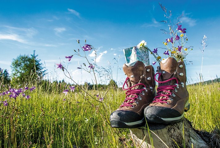 Wanderreise mit Hütte Bad Ischl - Wanderschuhe auf Almwiese